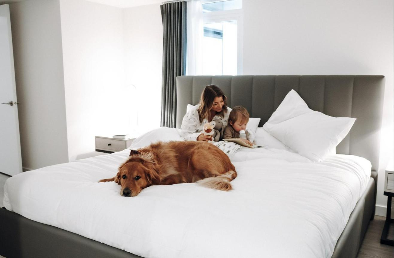 Level Downtown La South Olive Hotel Los Angeles Eksteriør billede